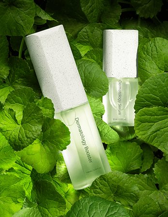 Riman ICD incellderm dermatology