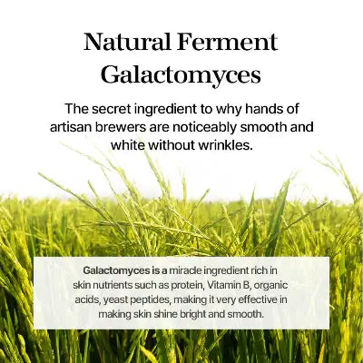 mixsoon Galactomyces Ferment Essence