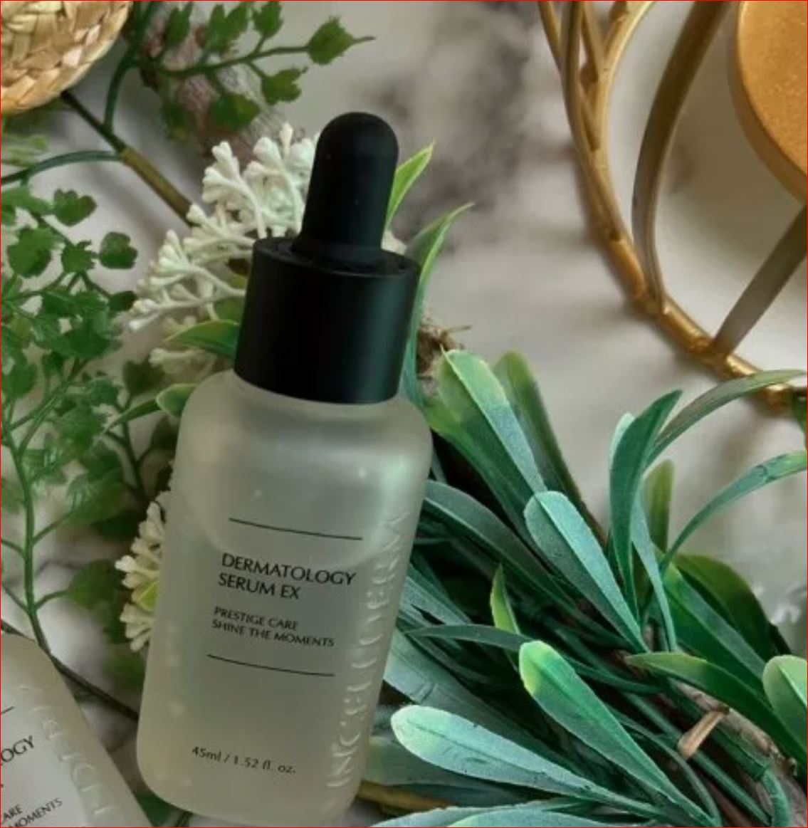 INCELLDERM_Dermatology_Booster_Serum_Cream_Anti-Aging_Skin_Care_Korean_Cosmetics_ Olive Young USA product alternative